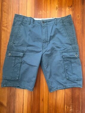Levi's Men's Slate Blue Cargo Shorts